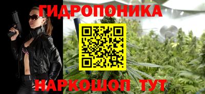 прущие крисы Будённовск