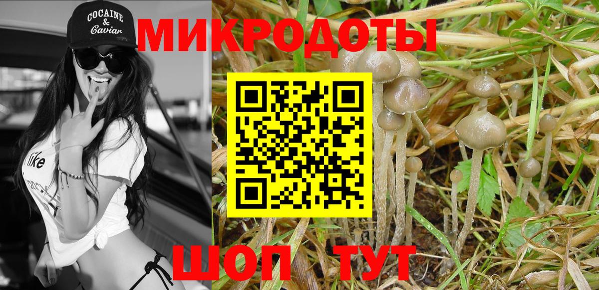Мегион  Псилоцибиновые грибы Psilocybe  Вход с VPN 