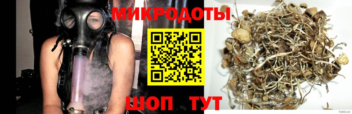 Псилоцибиновые грибы Magic Shrooms Мегион